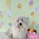 아이멍그라운드 이미지