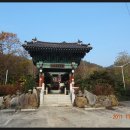 진주 정평리 무환자나무 이미지