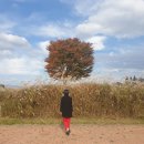 영산강자전거길안내센터 이미지