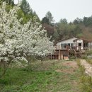 홍천강변 이미지