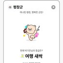 나라애견 이미지