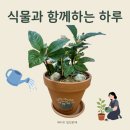 평화사회복지관경로당 | 서울시 노인 복지관 시니어를 위한 '내 곁의 반려 식물' 원예 수업
