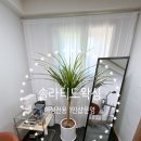 라티도헤어 | [미아왁싱/솔라티도왁싱] 여성전용 1인샵 브라질리언 왁싱 후기