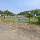 자유로카센타 이미지