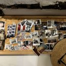 제주애락 이미지