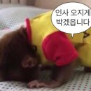 첫번째이야기 - 광주시 | 첫번째이야기