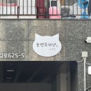 놀면묘하냥 고양이카페 이미지