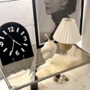 Top-솜씨 | 화곡역맛집 서울 삼겹살 맛집 TOP5 2위 피그백 화곡본점 솔직 후기