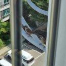 산본제일의원 | 38주 6일 임신의 기록 :: 시험관 성공 후기 :: 서연아이여성의원 :: 산본제일병원 :: 괌 태교여행