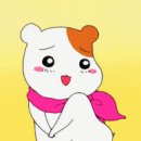 이삭민박 이미지