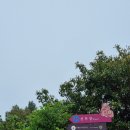 원광농원가든 | 외도 보타니아 돈 아깝지 않을까? 거제도 통영 여행 필수 코스 섬 여행하기 - 신세계로부터