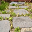 돌담요양병원 이미지