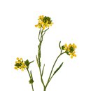 유니메드 이미지