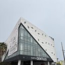 임마누엘신발 | 제주 서귀포 대형카페 표선오션뷰카페 <젠타일스>내돈내산 후기!