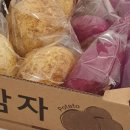 달콤잼잼