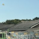 해리농협상하지점 이미지