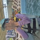 대법관들 날리고 헌법재판관 두명 날리면 안되나요? 이미지