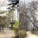 원리 농구장 이미지