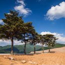 테마부동산 공인중개사사무소 이미지