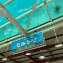 묵호항 활어회센터 천하수산 용궁회센터 내돈내산 솔직후기