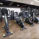 오렌지 휘트니스 이미지