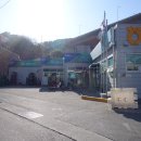 선창마을 Daum카페