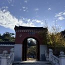 한국의정원 | 초겨울 순천만국가정원 한국정원 방문 후기