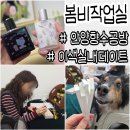여름을 담은 프라이빗 니치향수 | 안양향수공방 봄비작업실 애견동반 이색 실내데이트 후기