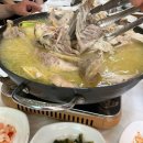 발왕산 케이블카 || 타고 온 후기