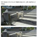 신촌초교 이미지