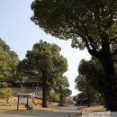 덴코스