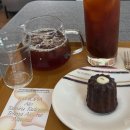 테스칼 | 신논현 카페 스크렘, 까눌레 맛집 인정 필터커피까지 완벽