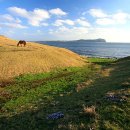 [제주도 가볼만한 곳] 올레1코스의 성산일출봉 주변 풍경 이미지