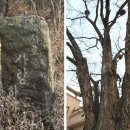 남산족구장 이미지