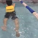 타잔비엔지 이미지