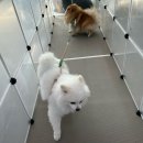 신림유치원 이미지