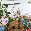 신산초등학교 이미지