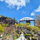 방동 | 대전 방동저수지 근처 감성 대형 카페 추천 화려한 방동 빵집 솔직 후기 + 고양이 맛집