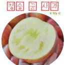 보현농산 이미지
