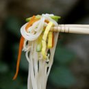 버섯잔치 티스토리