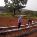 공동농장 이미지