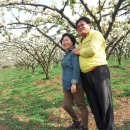 효자병원 이미지