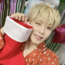 Hello Kitten 이미지