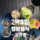 2박3일 캠핑 음식 추천 &#39;고기 편&#39; (feat. 술 종류, 안주)