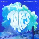 ASH ISLAND / Forever (원key B) mr 이미지