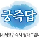 궁편의점 이미지