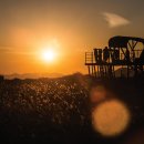 서천 금강2경 도보여행길 이미지