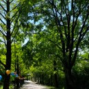 플라잉스톤 이미지