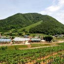 바랑골 | 제천 마당재산