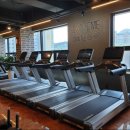 머슬베어짐 이미지